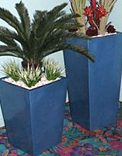 planters